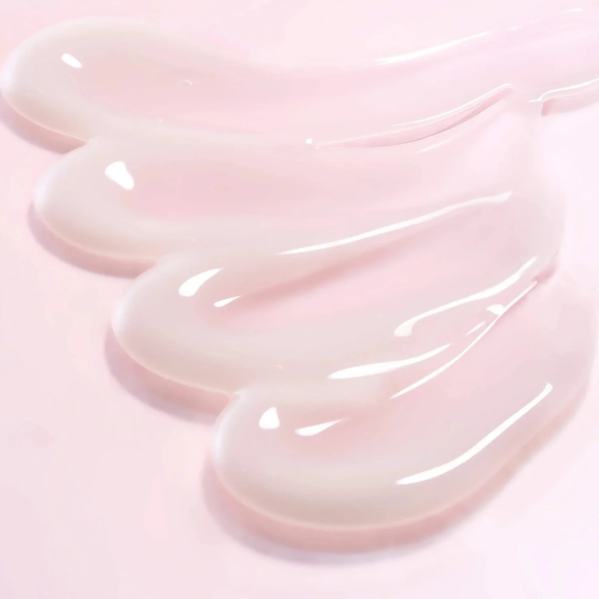Round Lab Camellia Deep Collagen Firming Cream 50 ml