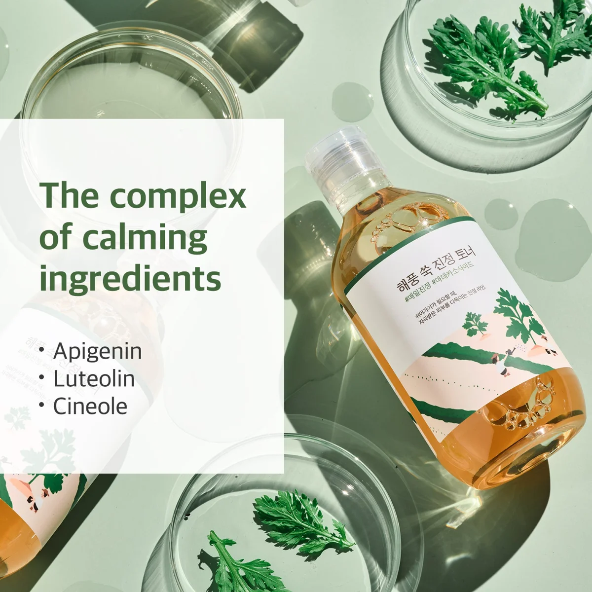 Round Lab Mugwort Calming Toner 300 ml